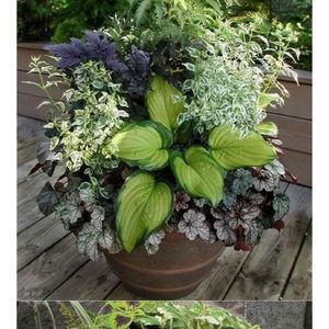 Meet your Posher, Dylan